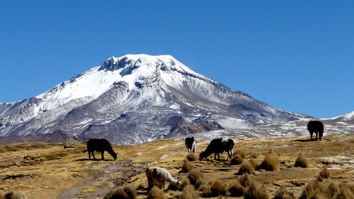 Die Zwillingsriesen des Altiplano: Parinacota und Pomerape
