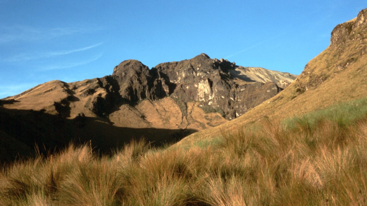 Ecuador: Corazon (4834m)