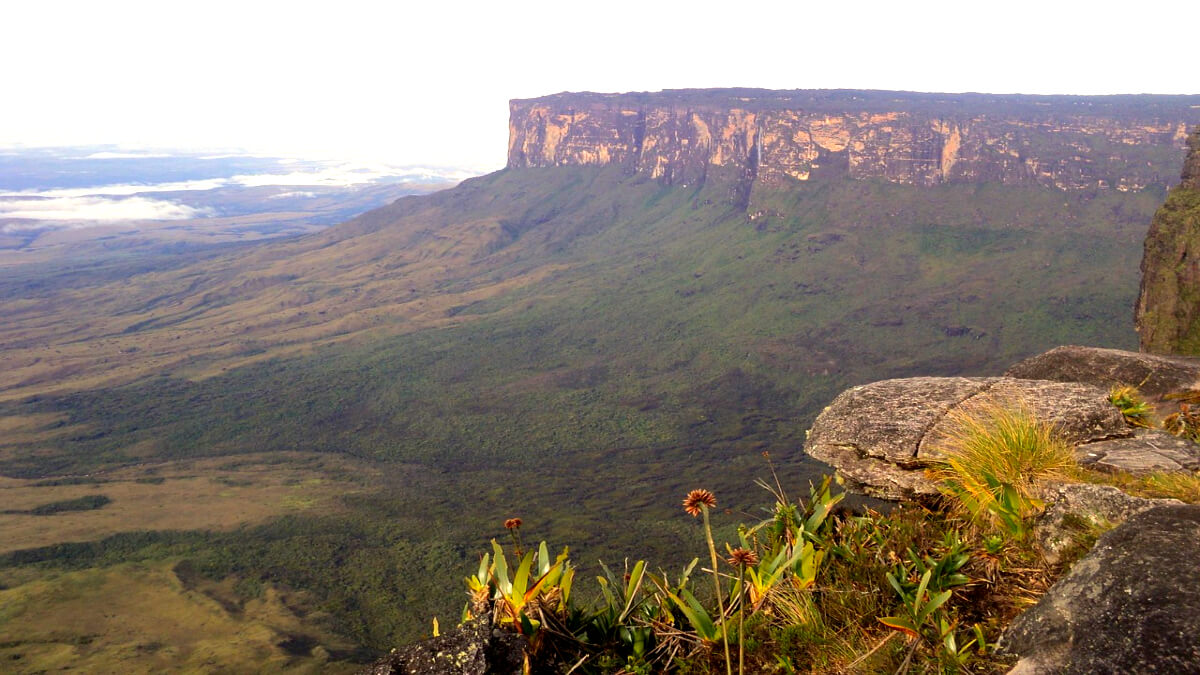 Venezuela Reisen Trekking, Tafelberge und tropische Wildnis