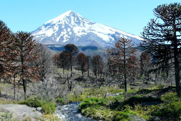Unsere Reisen nach Argentinien