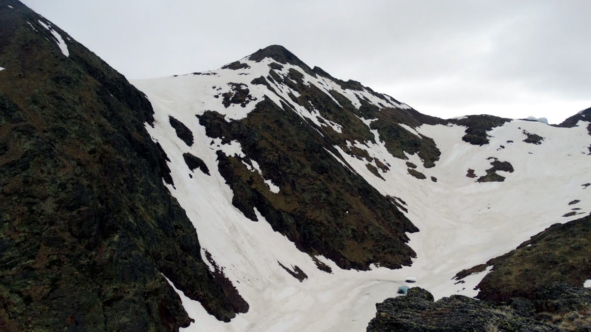 Pico de Sanfonts